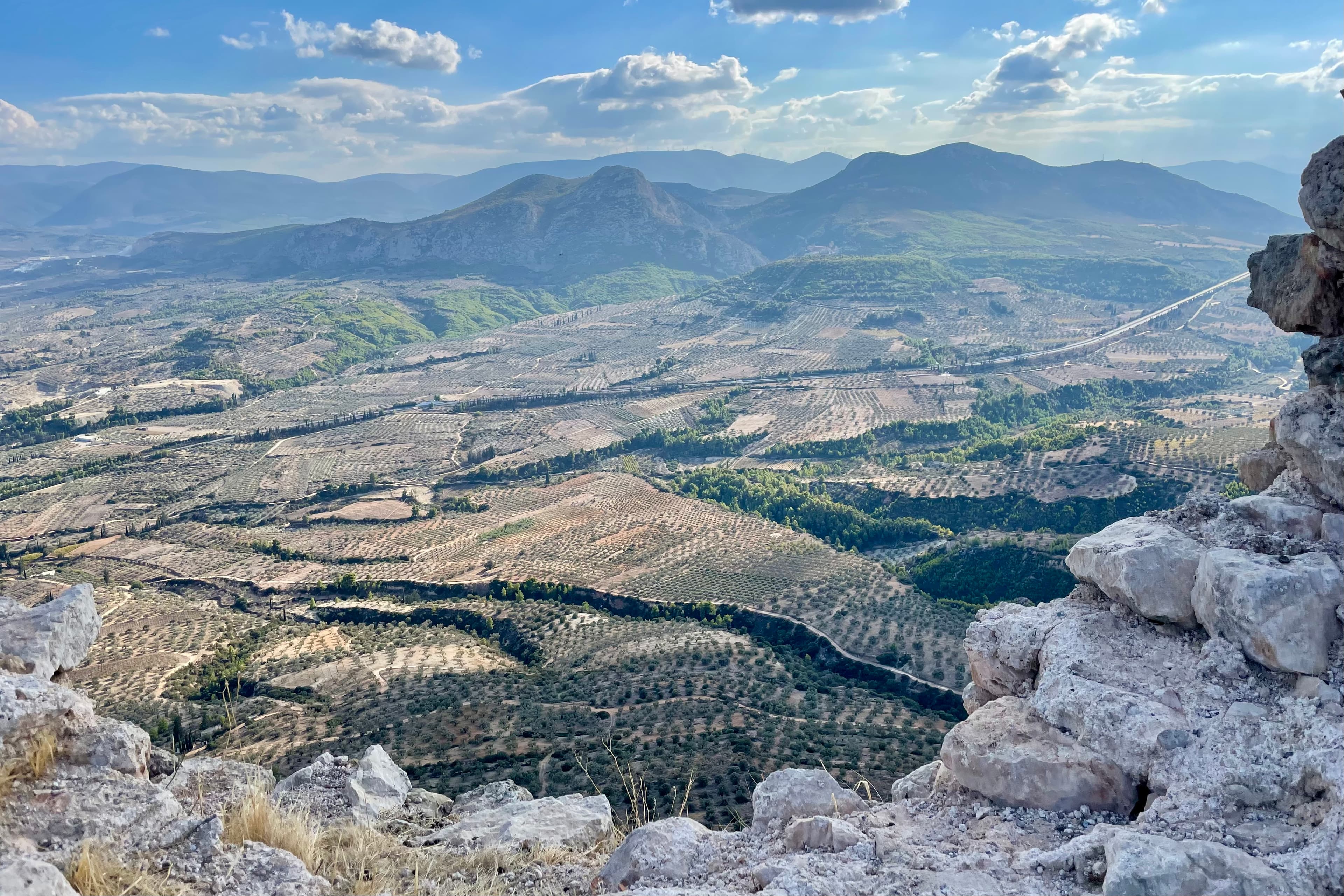Aussicht auf Olivenbäume