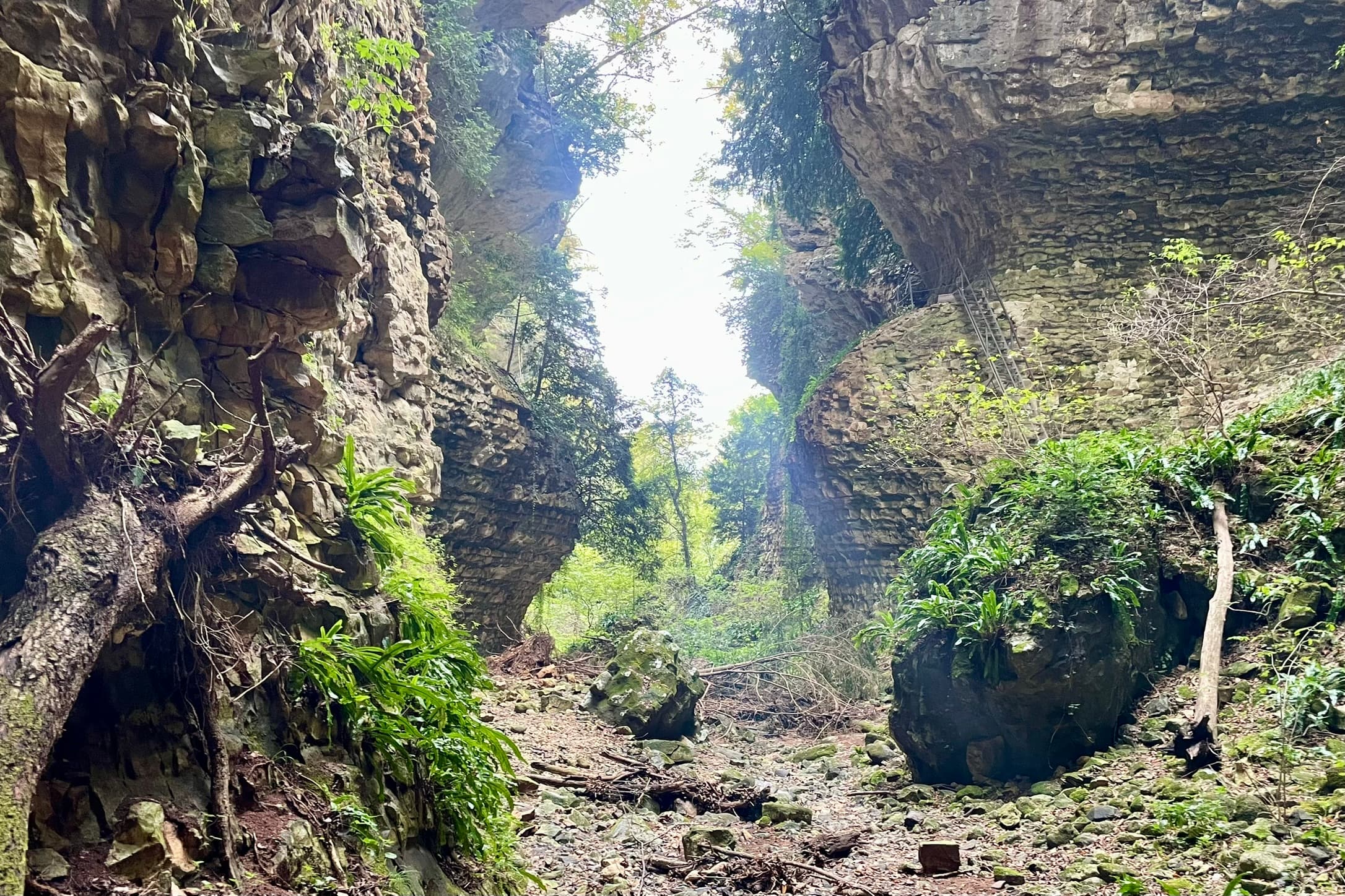 Die Schlucht auf der Wanderung<br>